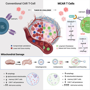 Design Option CESK Allegheny General Hospital, 10/cs (Rx) (Custom Item) (Item is Non-Returnable) (Continental US+HI Only, Excluding IN and ND