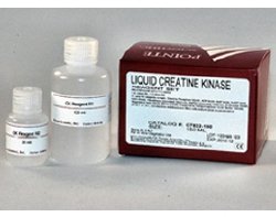 Pointe Creatine Kinase (CK) Liquid, 3 x 120 ml (Refrigeration Required) (US Only) (DROP SHIP ONLY)