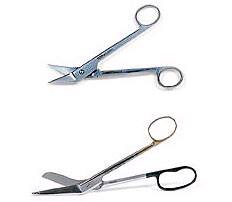 Scissors, Small, 6" (Continental US Only)
