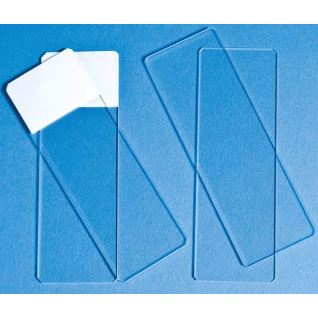 Economy Select Microscope Slide, Double Frosted End, 25mm x 75mm x 1mm, 144/gr, 10 gr/cs (Continental US Only)