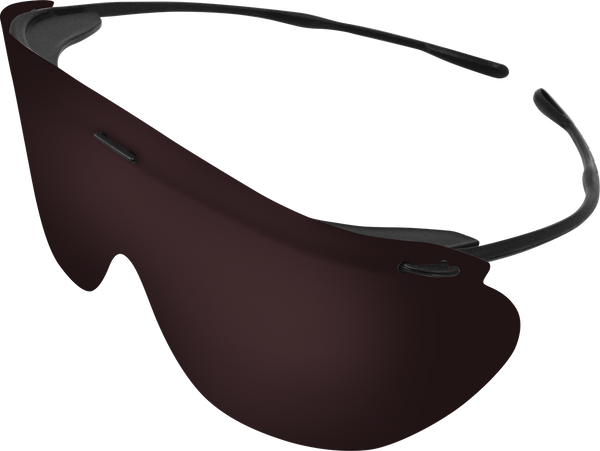 Safety Glasses, Office Pack (10 Black Frames, 20 Grey Lenses & 1 Neck Cord) (US SALES ONLY)