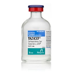 Tazicef (Ceftazidime for Injection, USP), 2 g Vial, Single Dose, ADD-Vantage Vial, 10/bx (Rx) (Item is Non-Returnable) (We must have your Wholesale Drug License on File before shipping this product) (US Only, Excluding IN and ND)