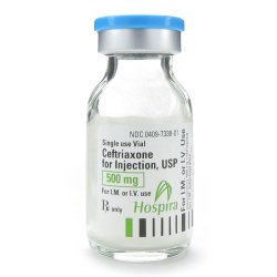 Ceftriaxone for Injection, USP, 500 mg/ 15 ml, Single Dose, Glass Fliptop Vial, 10/bx (Rx) (Item is Non-Returnable) (We must have your Wholesale Drug License on File before shipping this product) (US Only, Excluding IN and ND)