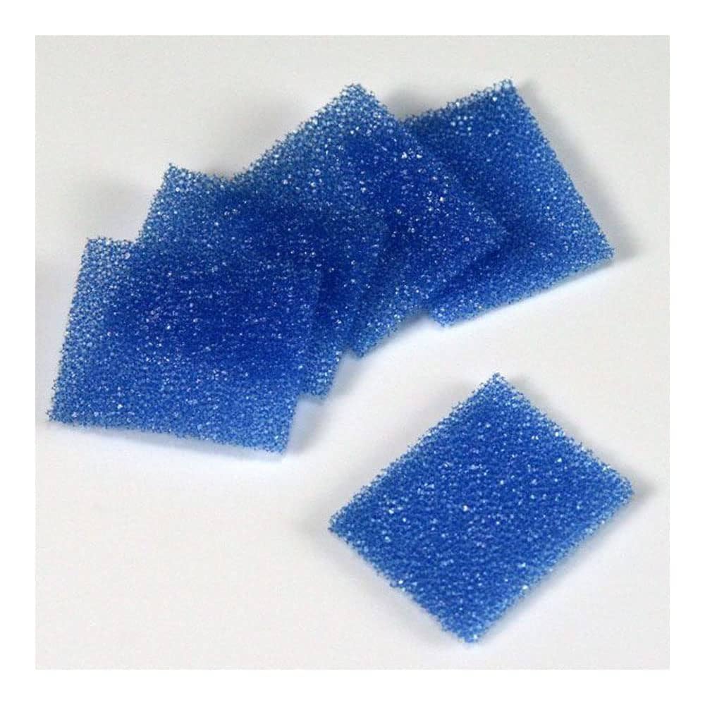 Biopsy Pad for Cassettes, Foam, 30.2mm x 25.4mm x 2mm, Blue, 1000/bg