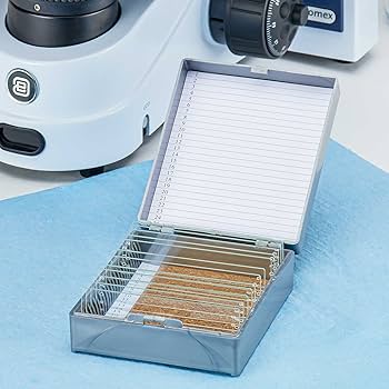 Slide Storage Box, Holds 25 Slides, 3.75" x 3.25", Gray