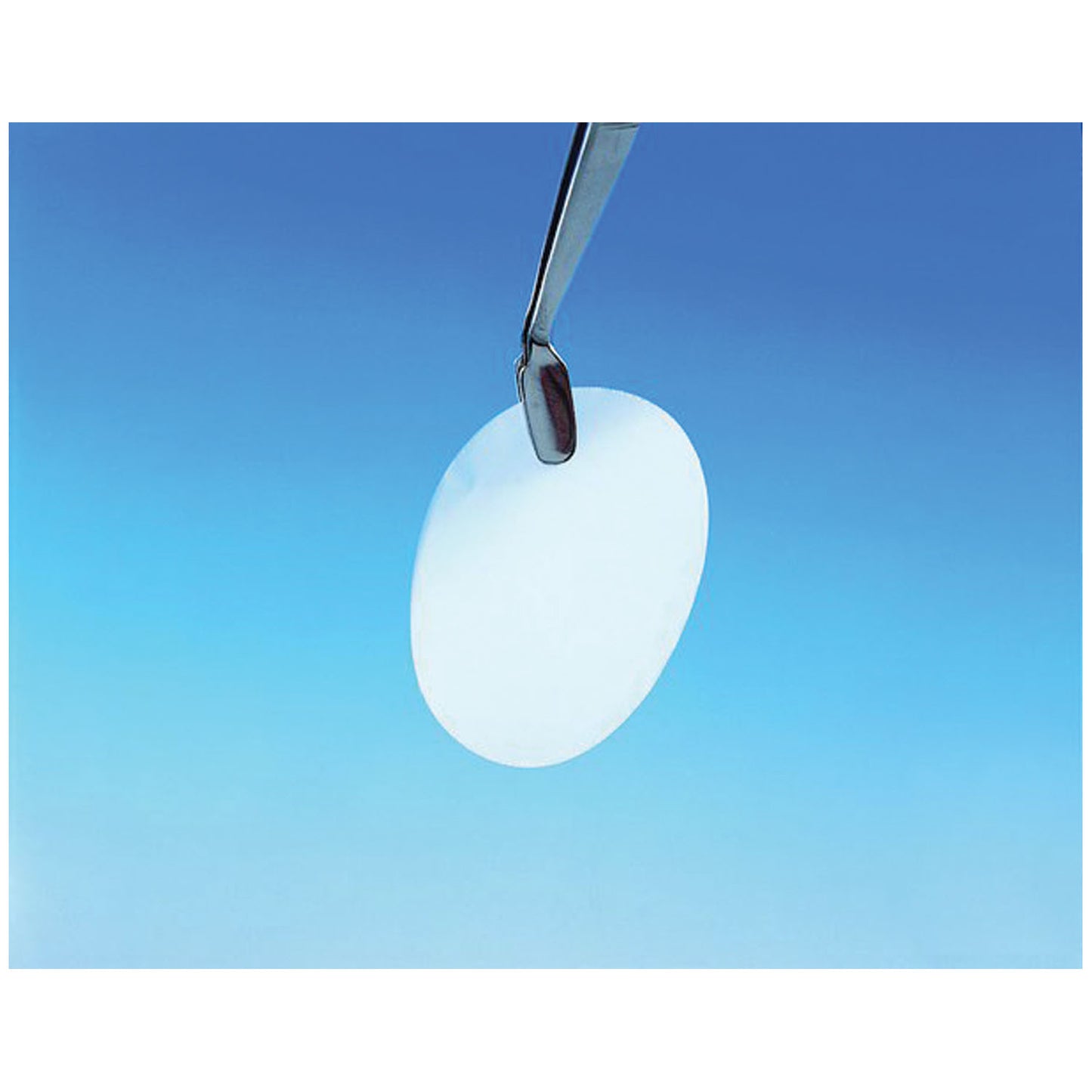 Filter Circles, 25mm Dia, Nuclepore Track-Etched Polycarbonate, 0.05m Pore Size, 100/pk (To Be DISCONTINUED)
