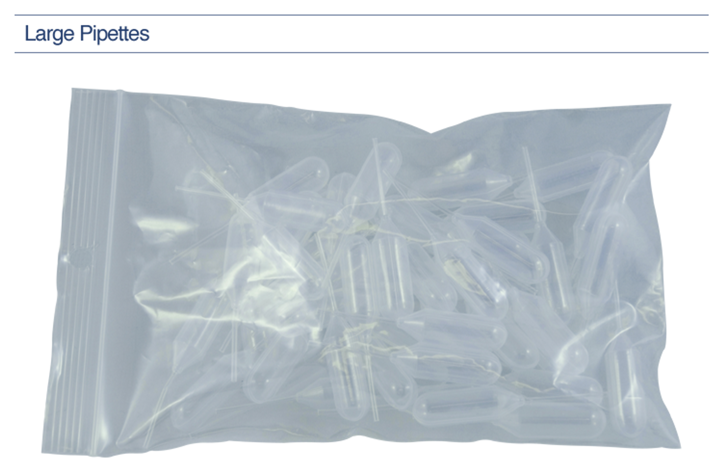 Accessories: Halogen Bulb, 12V/ 20W, Vertical Filament, For SQ2800 Only (US Only) (DROP SHIP ONLY)