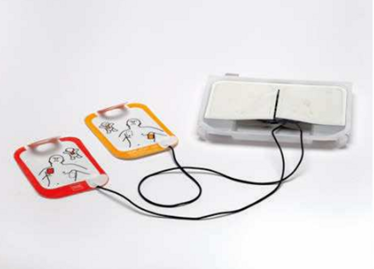 LIFEPAK CR2, Handle Kit (DROP SHIP ONLY) (Continental US Only)