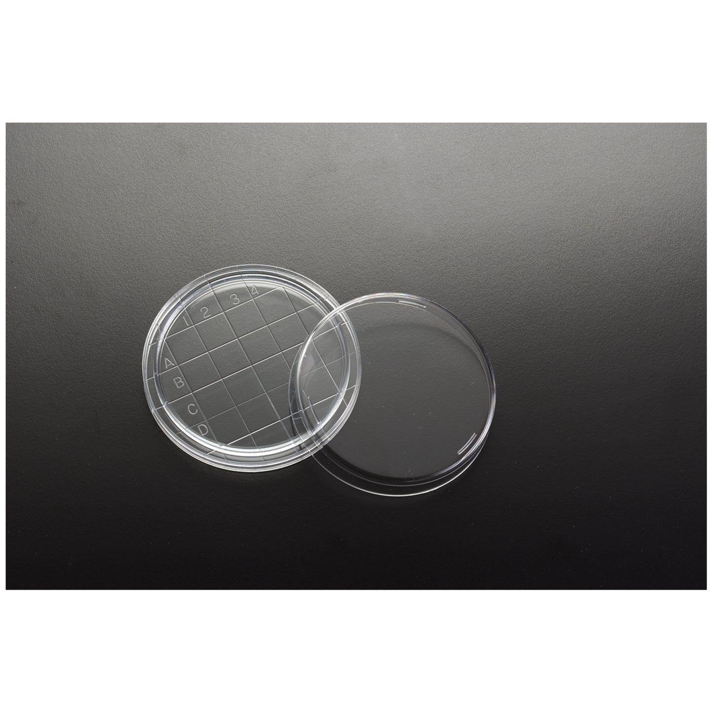 Petri Dish, 65 X 15mm, Contact Plate, 20/slv, 25 slv/cs