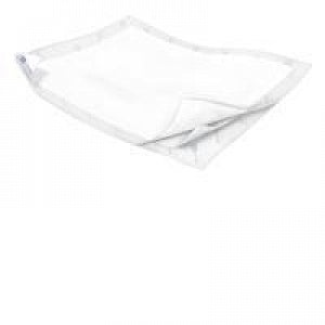 Underpad, Quilted, 23" x 36", 12/bg, 8 bg/cs (42 cs/plt) (Continental US Only)