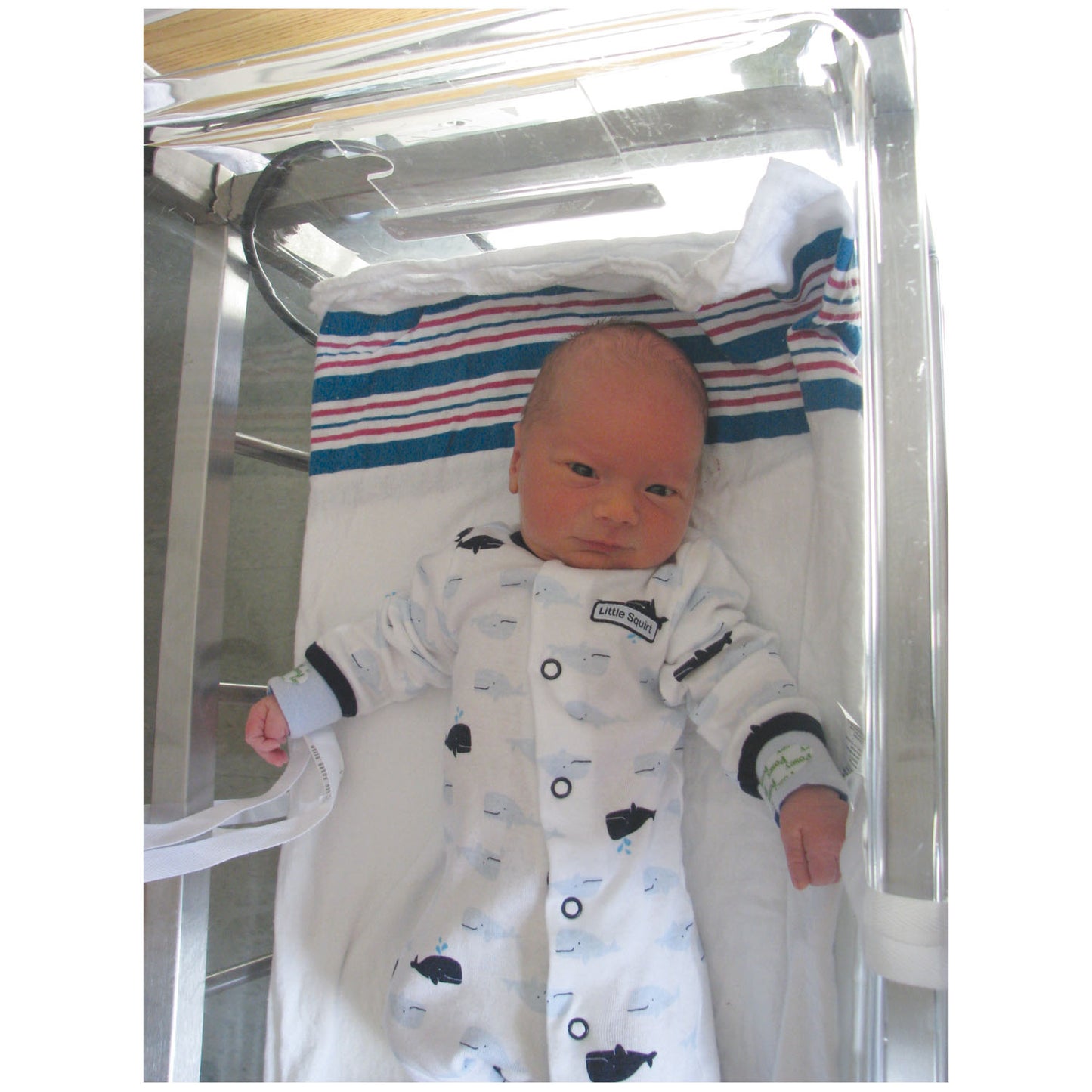 Posey Wrist/Ankle Restraint, Infant, Strap Fastening, 1-Strap, Foam, White, 12pr/ea (Continental US + HI Only)