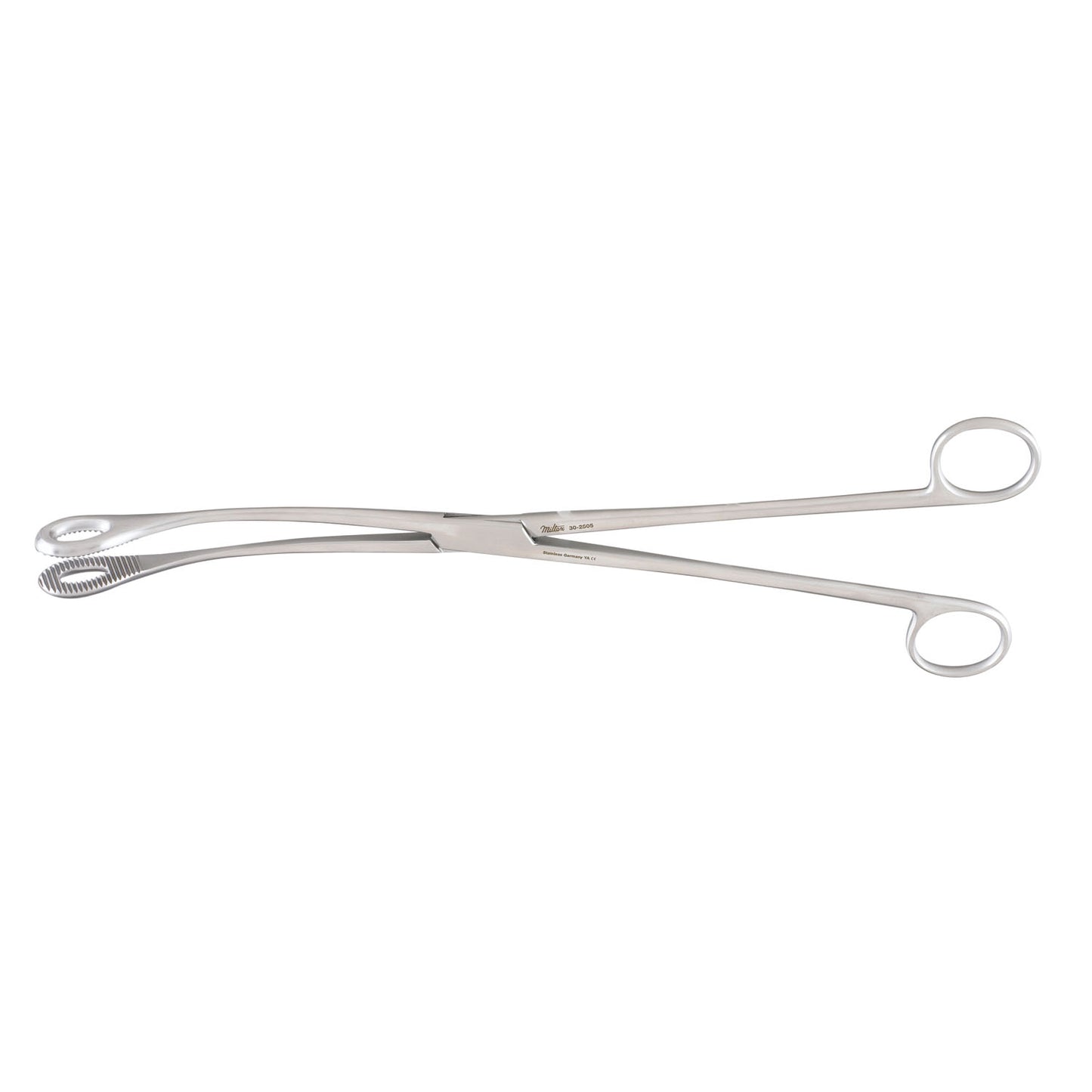 Kelly Sponge Forceps, 12_"