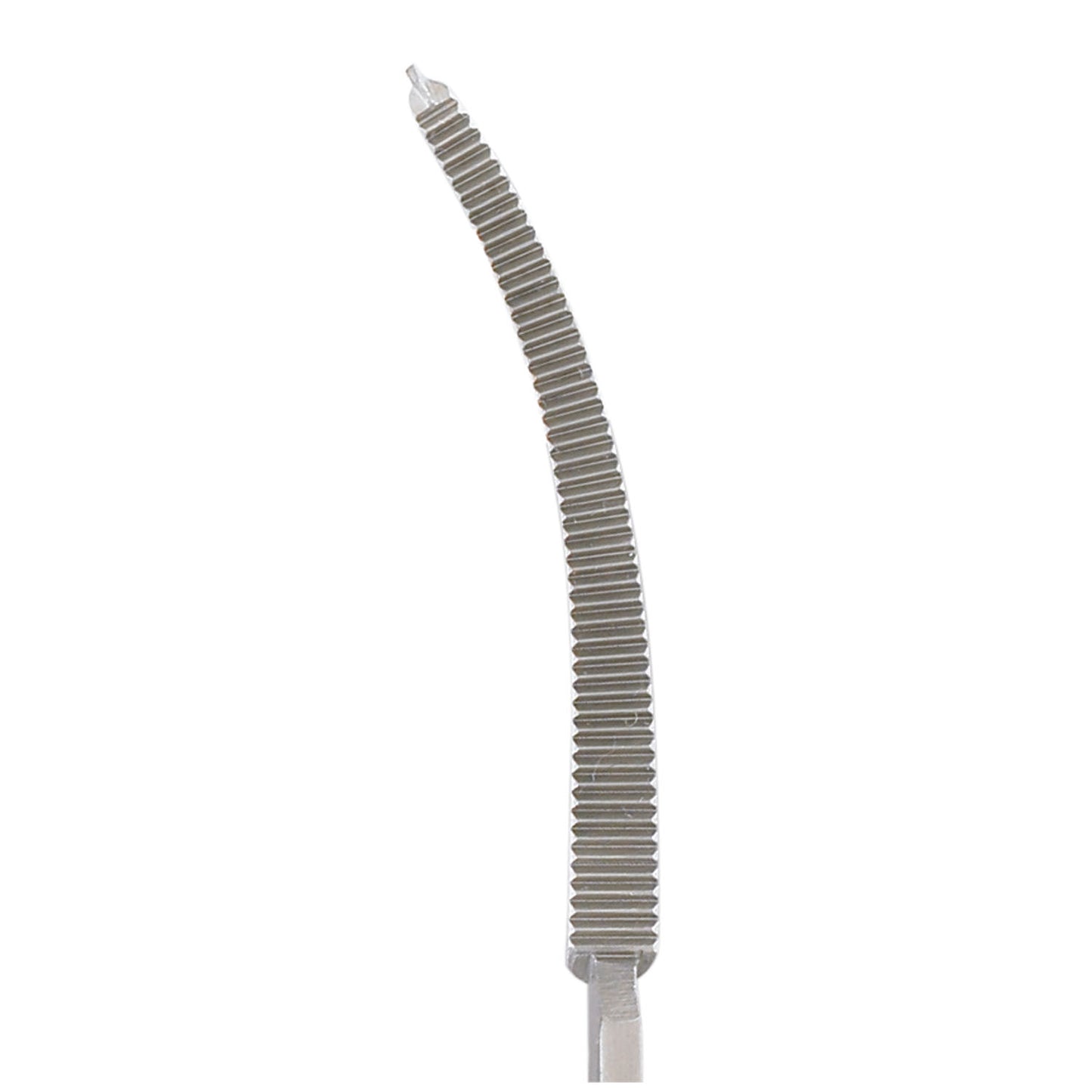 Baby Ochsner Forceps, 5_", Curved