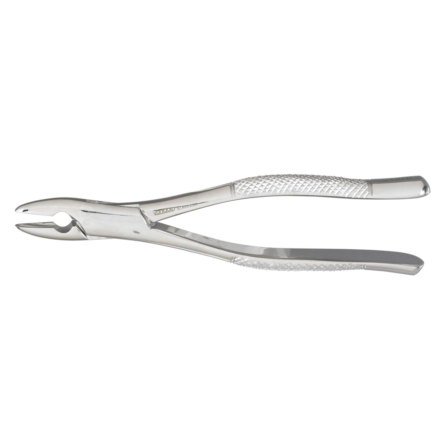 1STD Extractor Forceps