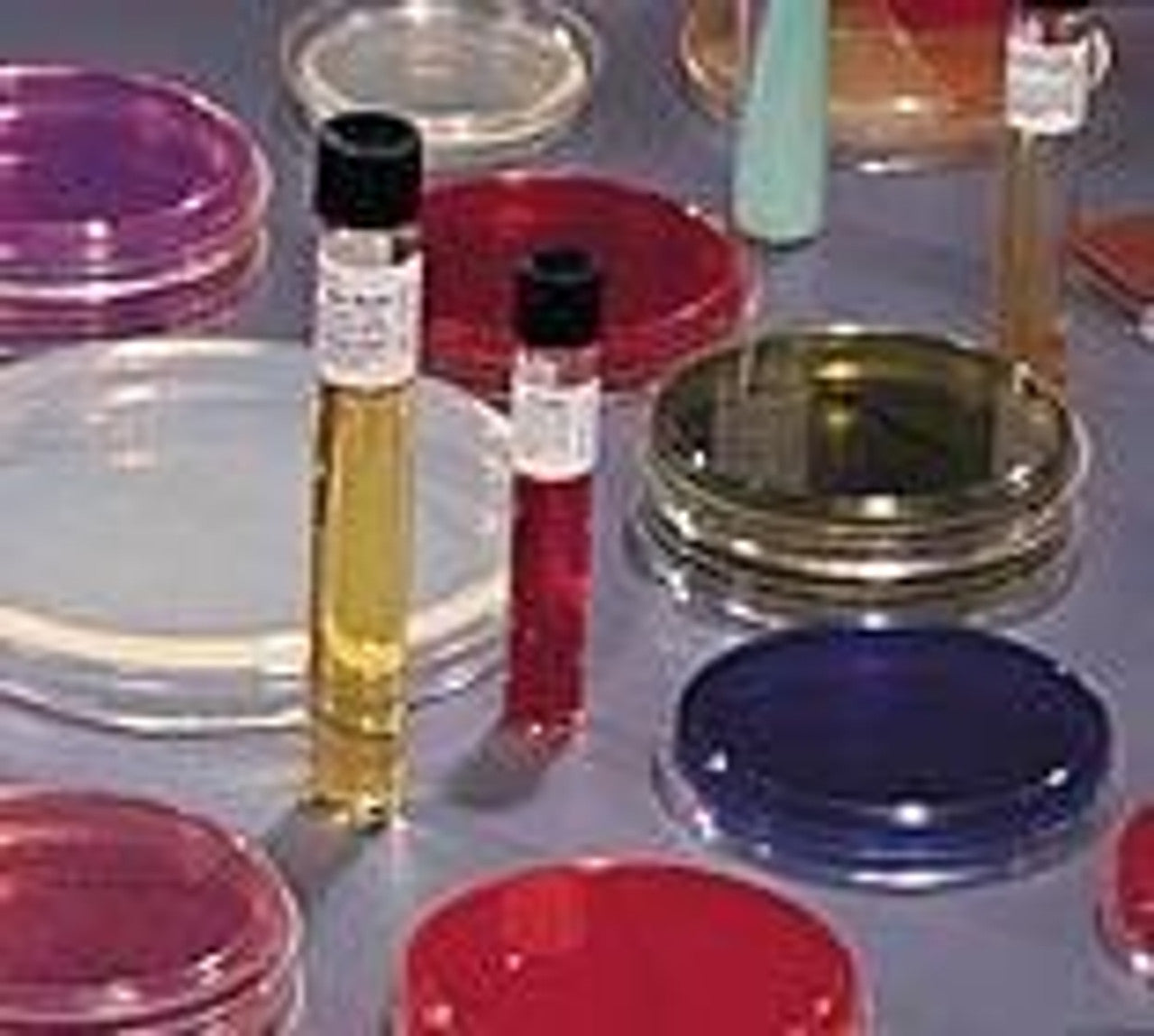 BBL Tube, Size K, Urea Agar Complete Christensen, 10 slants/pk (Continental US Only) (Drop Ship Requires Pre-Approval)
