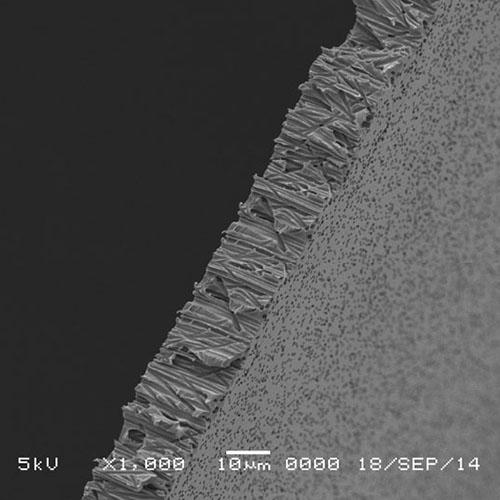 Filter, 0.2 microns, 25mm, Plain, 100/pk
