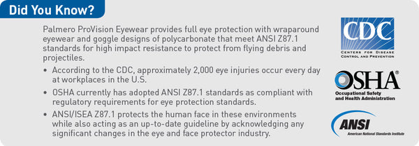 Safety Glasses, Grey Frame/Bonding UV Protective Lens, Universal Size, 12/cs (US SALES ONLY)