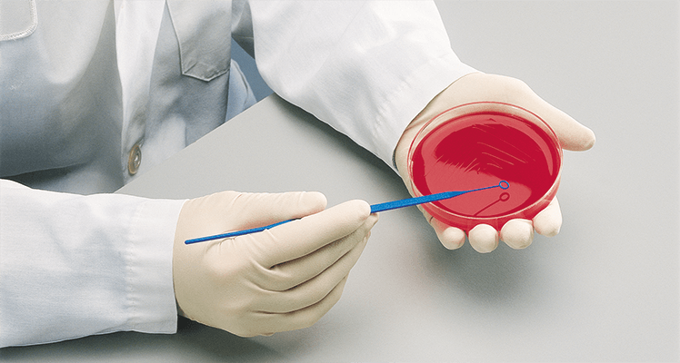 DIFCO Disposable Inoculating Loop, 1 Microliter, Light Green, 50 tubes/pk, 20 tubes/pk, 1000/pk (Continental US Only) (Drop Ship Requires Pre-Approval)