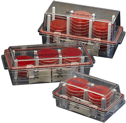 Gaspak EZ Large Incubation Container, Capacity of 30 to 33 Petri Dishes, Easy Close Latch (Continental US Only) (Drop Ship Requires Pre-Approval)