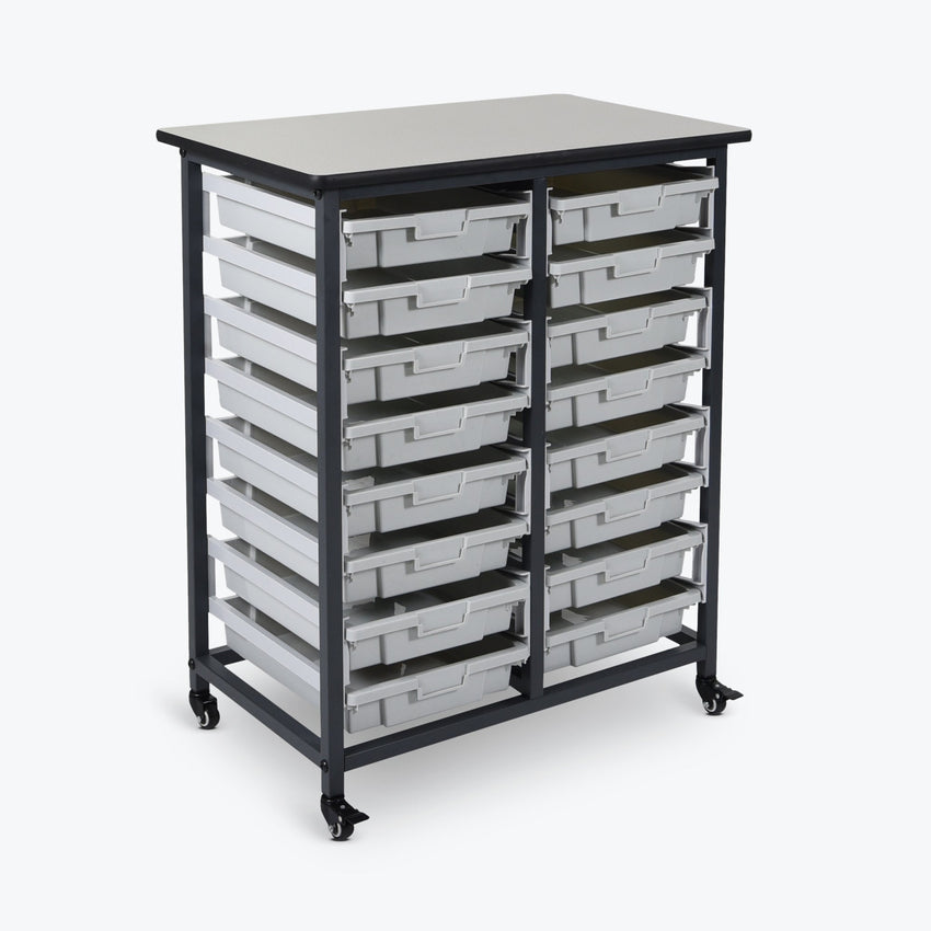 Storage Bin Unit, Mobile, Double Row, Holds 16-Small Bins, 30.75"W x 20"D x 37.5"H, Steel Frame (DROP SHIP ONLY)