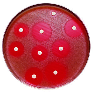 Sensi-Disc Gentamicin GM-10, 10/pk (Perishable Product; Must be Refrigerated; Non-Returnable) (Continental US Only) (Drop Ship Requires Pre-Approval)