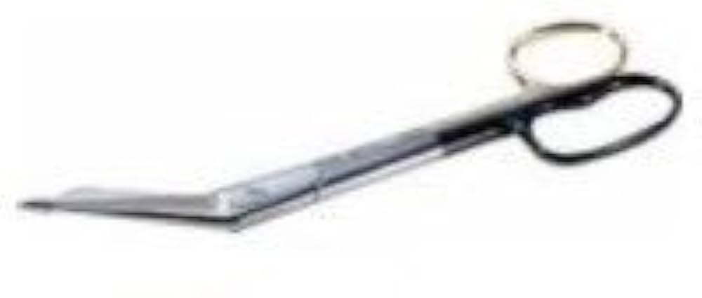 Scissors, Large, 8" (Continental US Only)