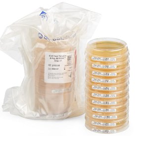 BBL Trypticase Soy Agar Plate with Lecithin and Polysorbate 80, 100/pk (Short-Dated, Non-returnable; Non-refundable) (Continental US Only) (Drop Ship Requires Pre-Approval)