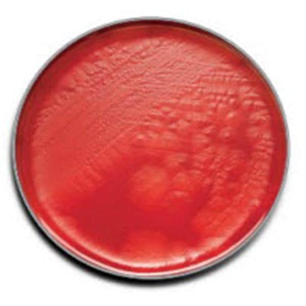 CDC Anaerobe 5% Sheep Blood Agar, 100/pk (Short-Dated, Minimum Expiry Lead is 30 days; Non-returnable; Non-refundable) (Ships on ice) (Continental US Only) (Drop Ship Requires Pre-Approval)