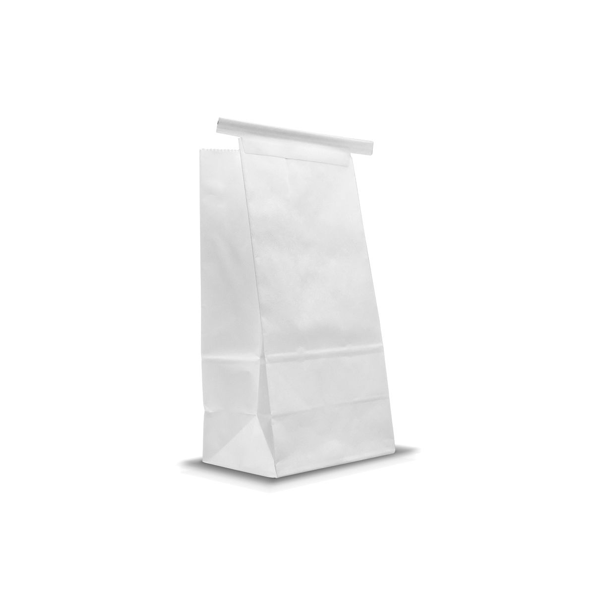 Poly-Lined Paper Bag 1000/cs