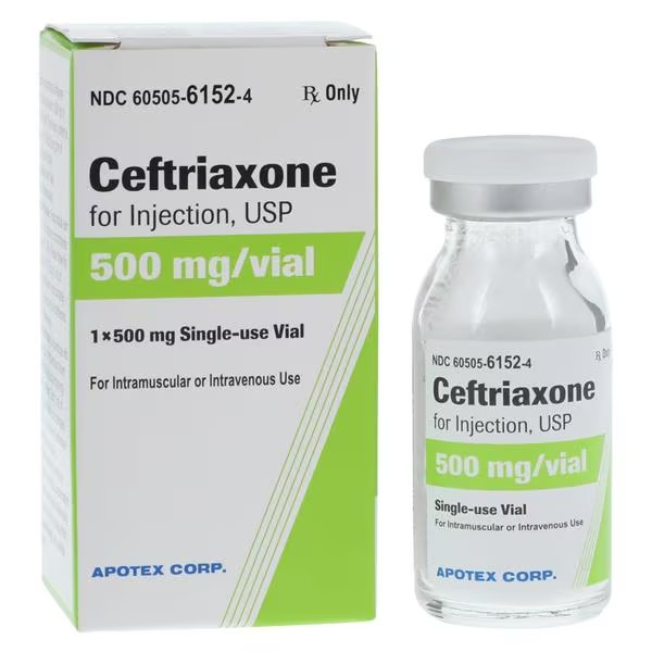 Ceftriaxone Sodium Injection 500mg/vl Powder SDV Each (60505615204)