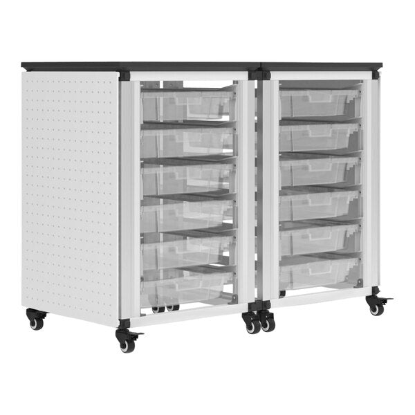 Storage Bin Cabinet, 2 Side-by-Side Modules, Holds 12 small bins (3" or 6" Deep), Overall dimensions (single module): 41 x 38 x 24 (DROP SHIP ONLY)