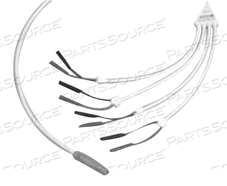 Prucka Cable, Stimulator Input, CLAB II Plus, 15 ft (Continental US Only)