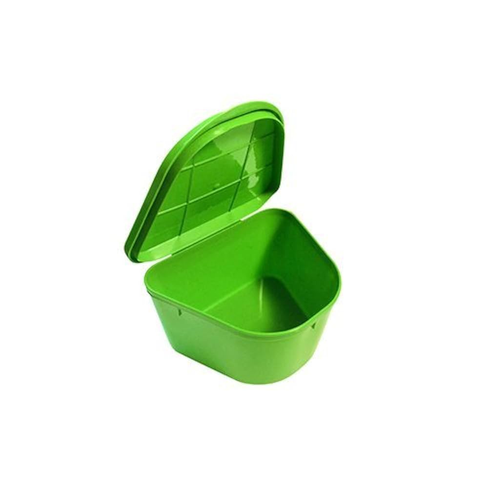 Denture Cup w/ Hinged Lid, Green, 2" x 4" x 3", 200/cs