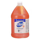 Dial Liquid Soap 1 Gallon Refill Gallon (234008047)