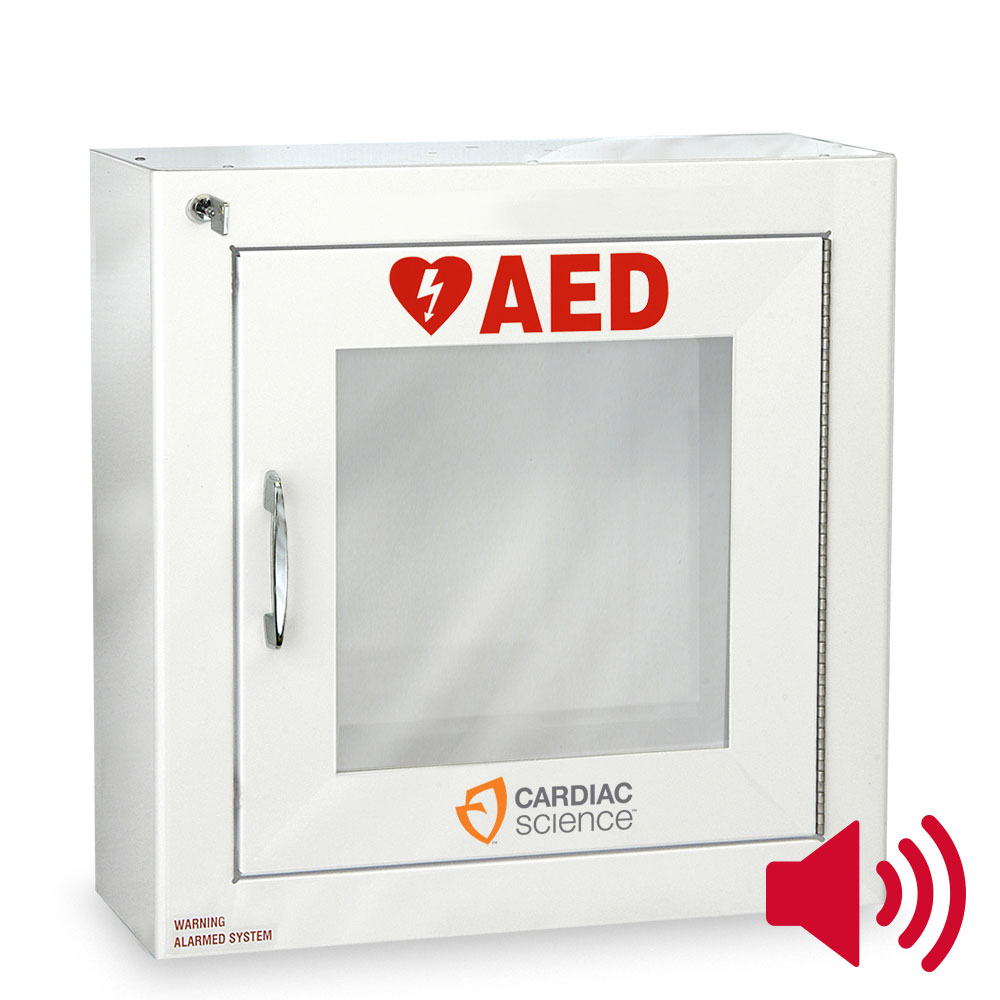 Surface Mount Wall Cabinet with Alarm