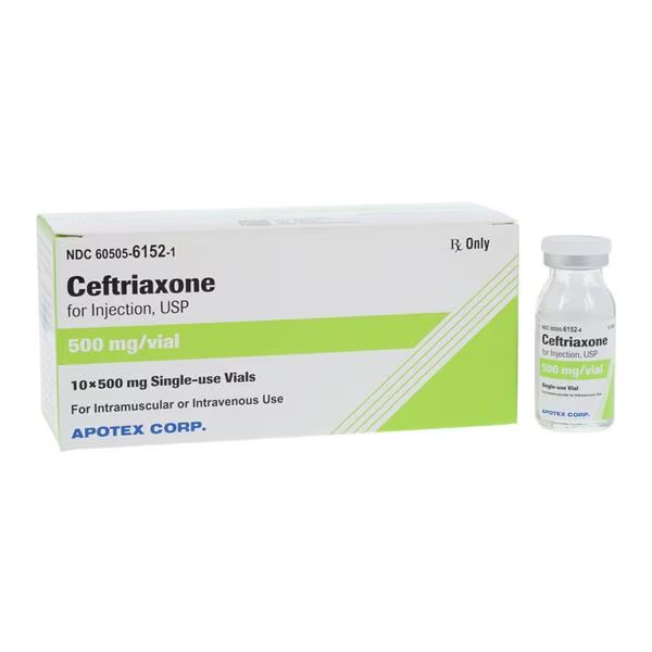 Ceftriaxone Sodium Injection 500mg/vl Powder SDV 10/Package (60505615201)