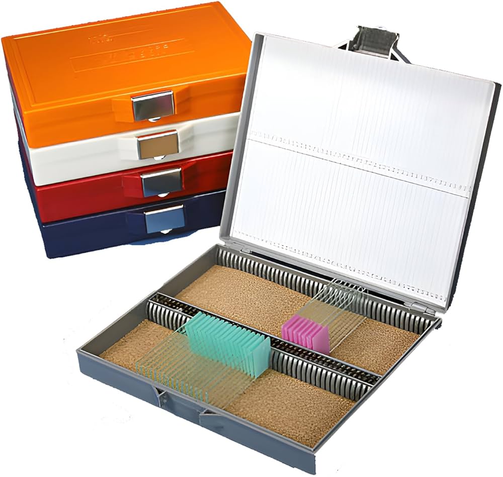 Slide Box, for 100 Slides, Cork Lined, Stainless Steel Lock, Orange