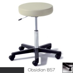283 Basic Stool, Pneumatically Adjustable, Glides, Robust Brown (US Only) (DROP SHIP ONLY) (Delivery Info Sheet Required)