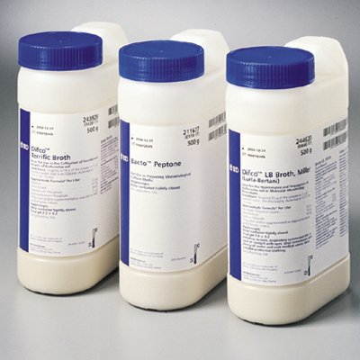 BBL Brain Heart Infusion Agar, 500g (Short-Dated; Non-Returnable) (Continental US Only) (Drop Ship Requires Pre-Approval)