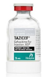 Tazicef (Ceftazidime for Injection, USP), 6 g Vial, Pharmacy Bulk Package Glass Fliptop Vial, 10/bx (Rx) (Item is Non-Returnable) (We must have your Wholesale Drug License on File before shipping this product) (US Only, Excluding IN and ND)