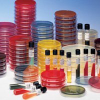 CHROMagar Orientation Plate, 100/pk (Short-Dated; Non-Returnable; Non-Refundable) (Continental US Only) (DROP SHIP ONLY)