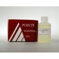 Pointe Magnesium Standard, 2.4 mg/dl, 1 x 15 ml (Refrigeration Required) (US Only) (DROP SHIP ONLY)