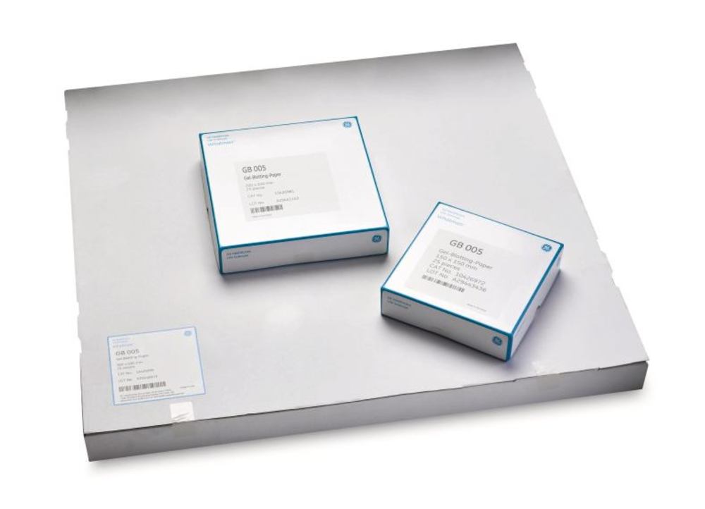 Blotting Paper, Pure Cellulose, Grade GB005 Sheets, 15 x 15cm, 25/pk