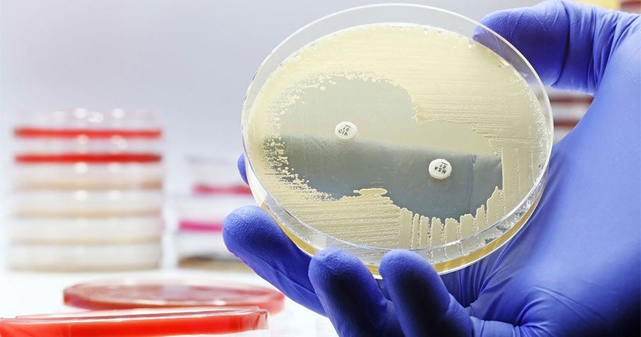 Sensi-Disc Clindamycin CC-2 (Perishable Product; Must be Refrigerated; Non-Returnable) (Continental US Only) (Drop Ship Requires Pre-Approval)
