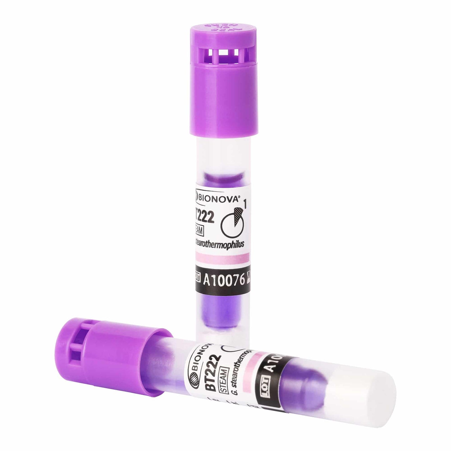 Fluorescence SCBI for Steam, 60C 50/bx
