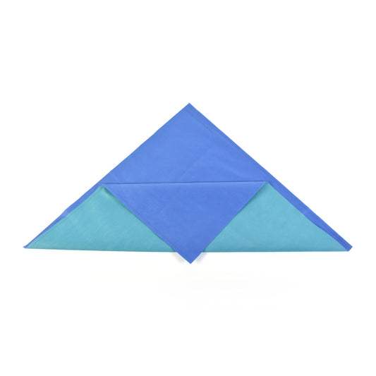 Wrap, Sterilization, CH500, 30 x 30, Two-Color, Blue/Green, SMS, 120/cs (Continental US Only)