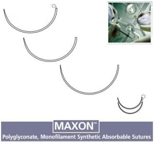 Suture, Blunt Taper Point - Protect Point, Size 0, Green, 36", Needle BGS-25, _ Circle, 1 dz/bx (Continental US Only)