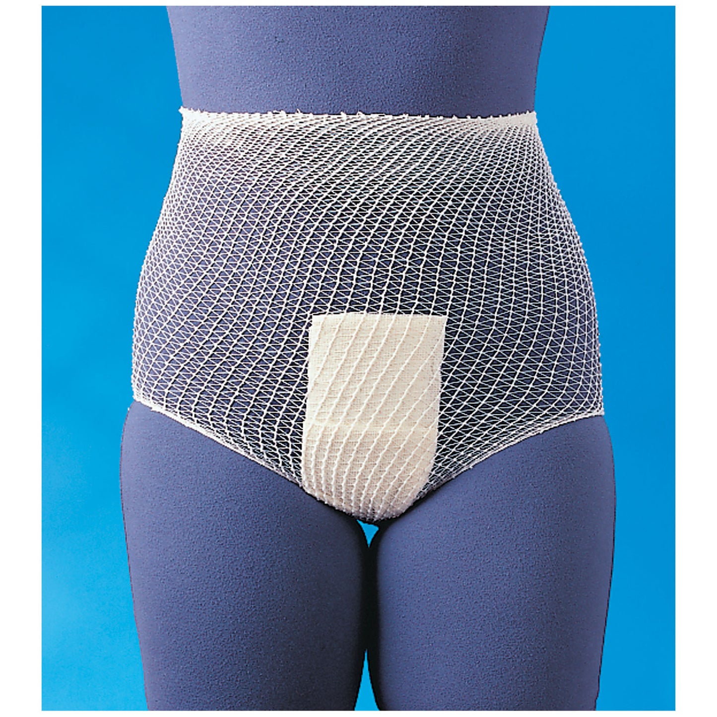 Dressing Retainer, Perineum Panty, Large/ X-Large, 20/bx