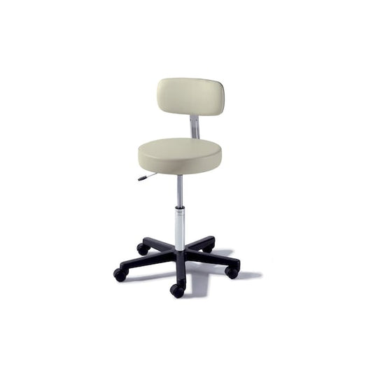 273 Basic Stool, With Back, Pneumatically Adjustable, Iron Ore (US Only) (DROP SHIP ONLY) (Delivery Info Sheet Required)