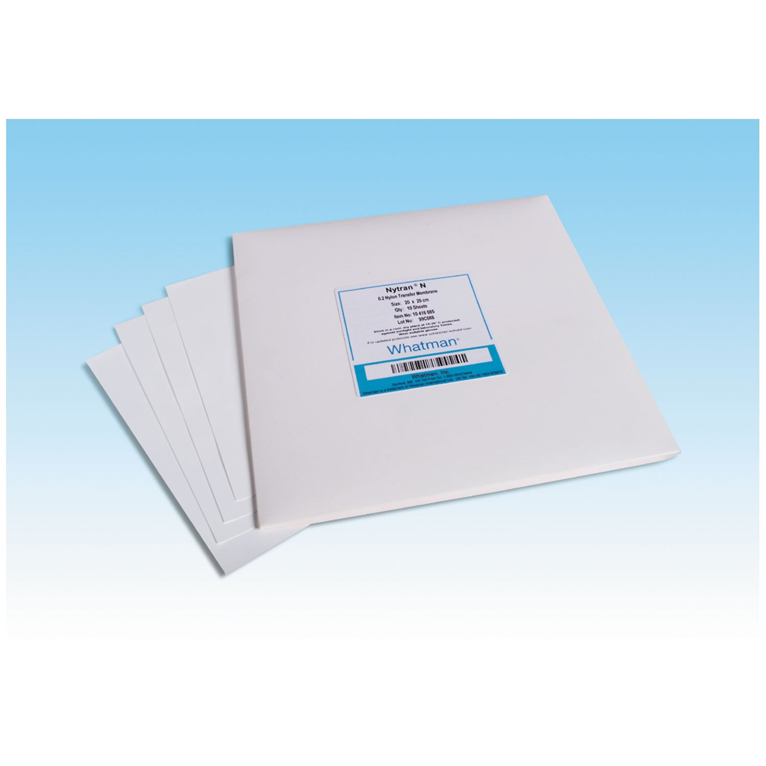 Membrane Roll, 30cm x 3m (300mm x 3m), Nytran N2, 0.2m Pore Size, 1/pk